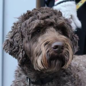 Meet your Posher, Herta